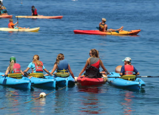 summer campers and guide kayaking off the coast of Catalina Island