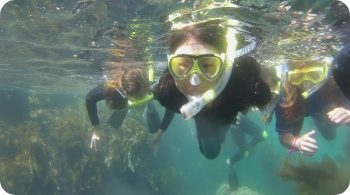 snorkeling, underwater shot