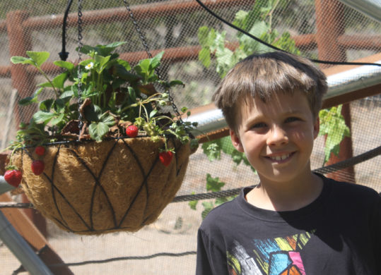 boy standing next to hanging plant