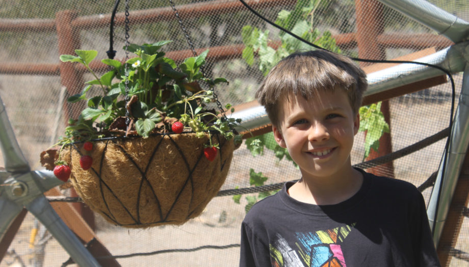 boy standing next to hanging plant