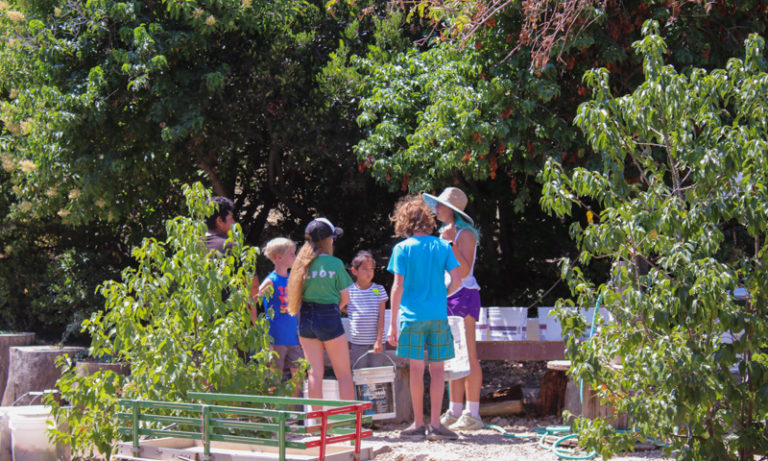 Campers gathered together outside on a nature trip