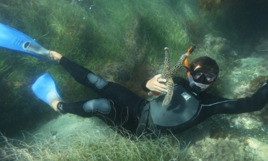 skindiver underwater holding a starfish
