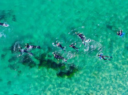 top down aerial view of campers skindiving in clear blue water