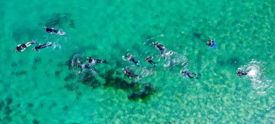 top down aerial view of campers skindiving in clear blue water