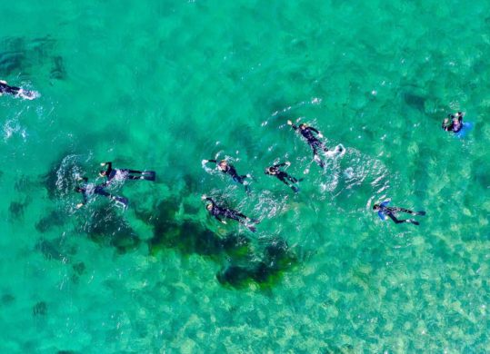 top down aerial view of campers skindiving in clear blue water