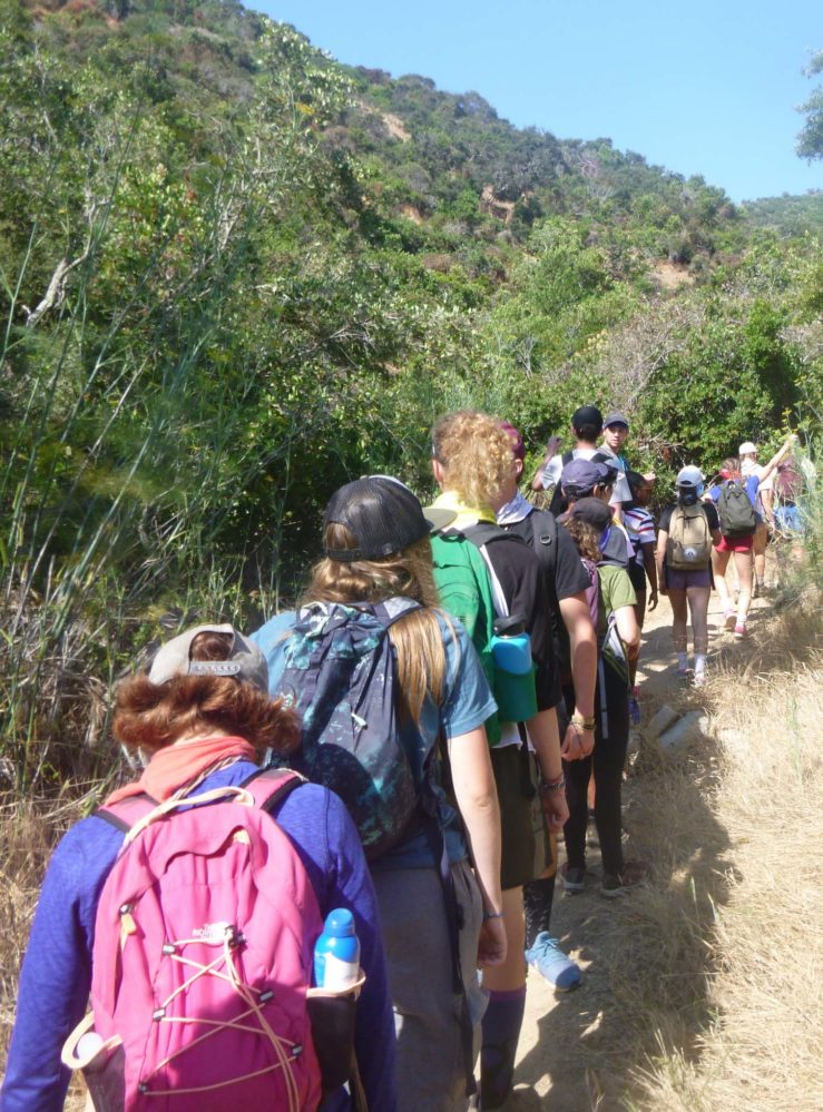 campers hiking downhill through Catalina Islands' various hiking trails